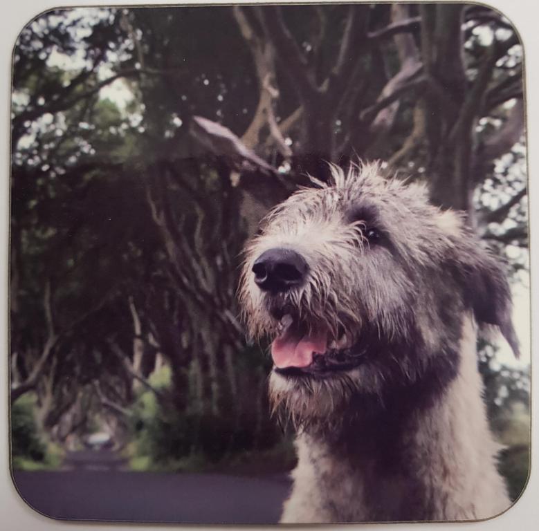 Coaster - Brian Boru X Dark Hedges