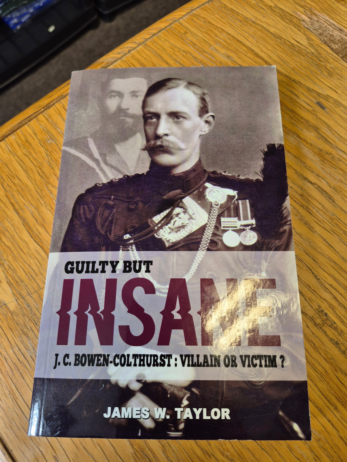 Book - Guilty but Insane