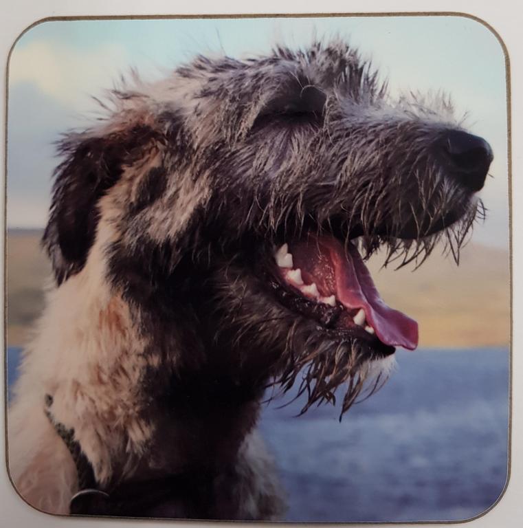 Coaster - Brian Boru X  Lake