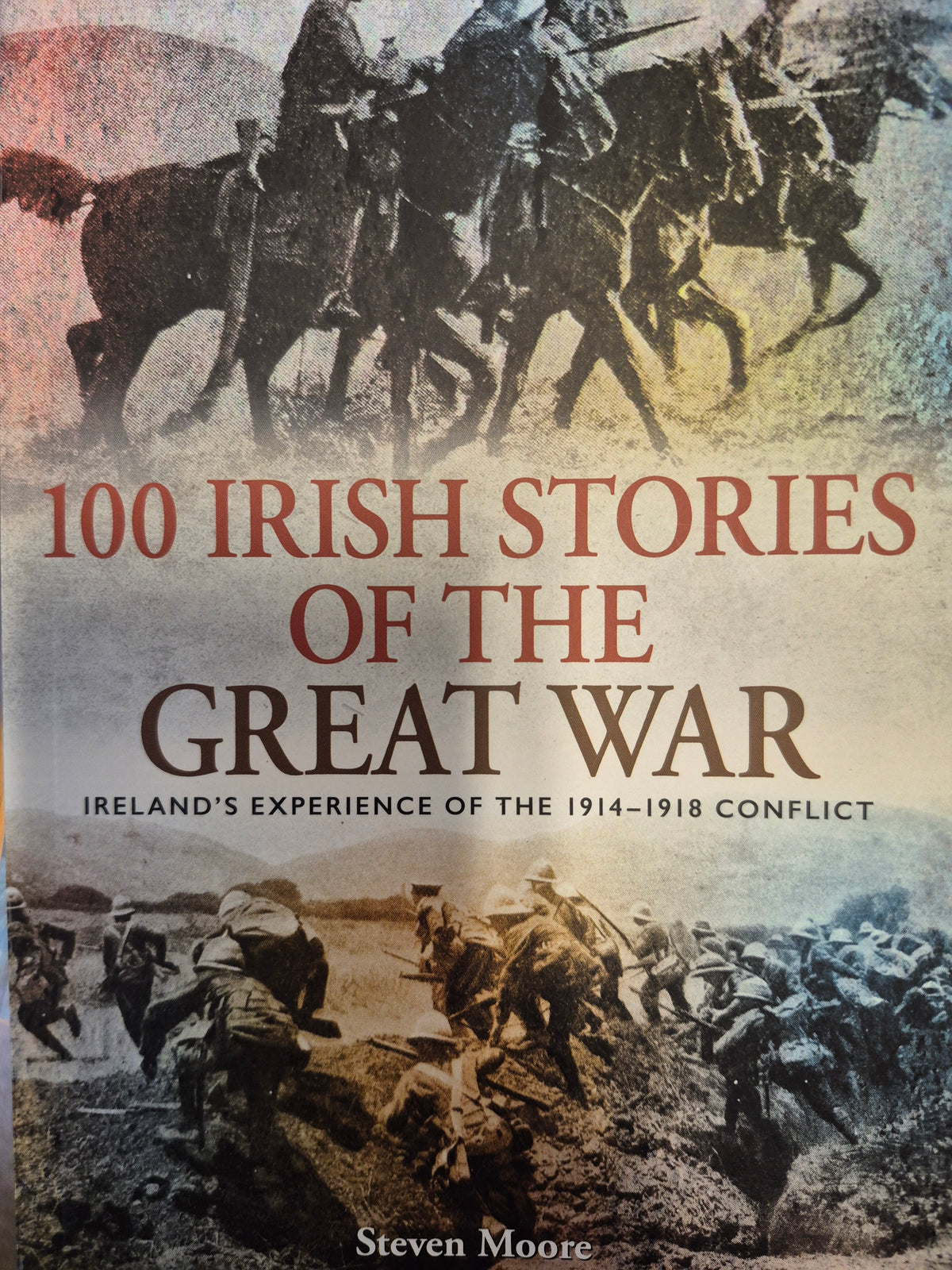 Book - 100 Irish Stories of the Great War
