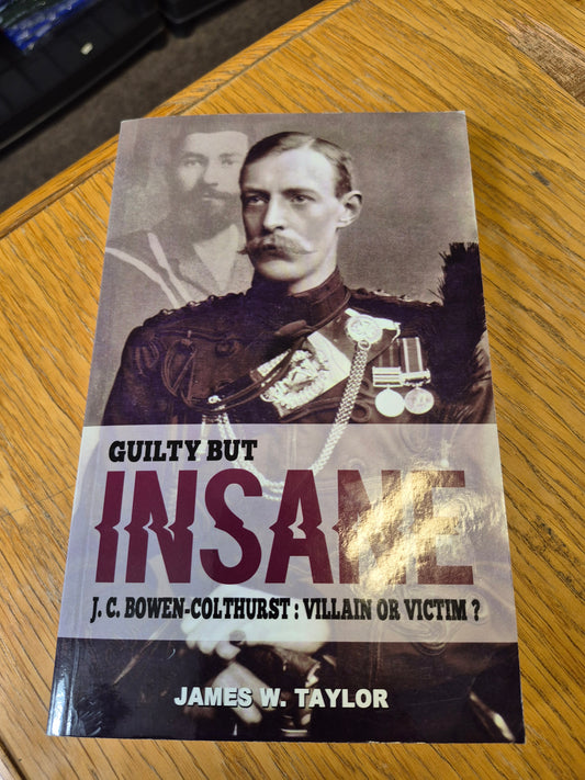 Book - Guilty but Insane