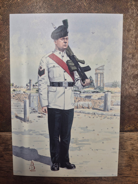 Postcard Series 1/7 Colour Sergeant