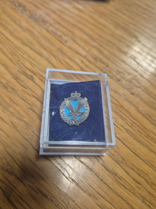 Army Air Corps Lapel Badge
