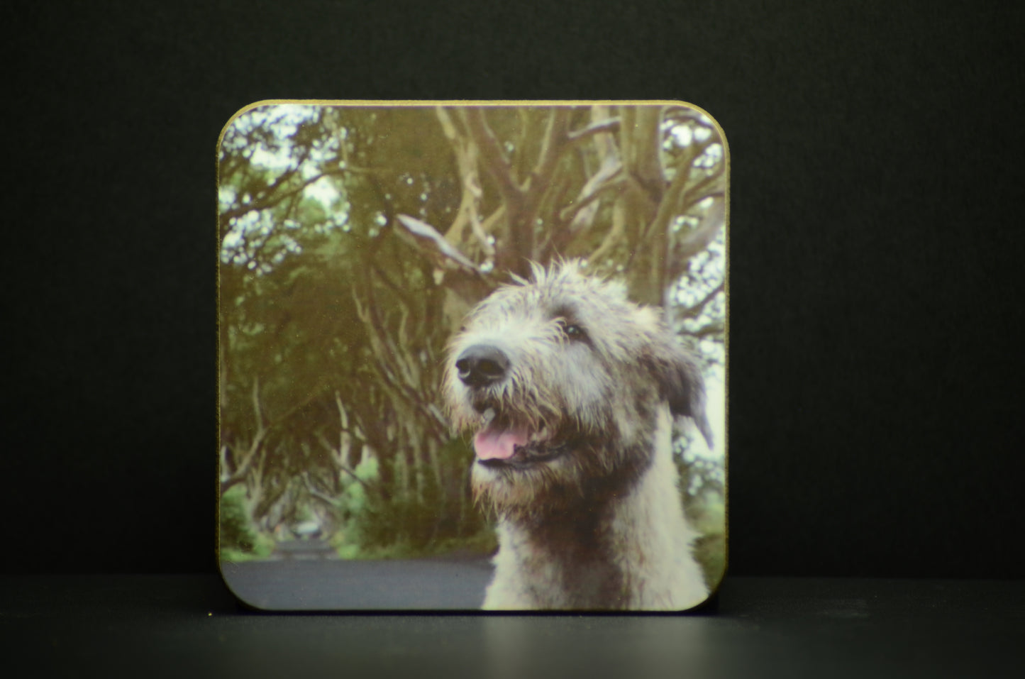 Coaster - Brian Boru X Dark Hedges