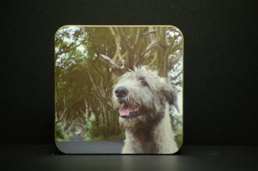 Coaster - Brian Boru X Dark Hedges