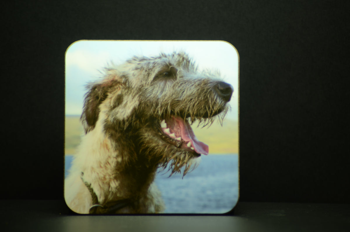 Coaster - Brian Boru X  Lake