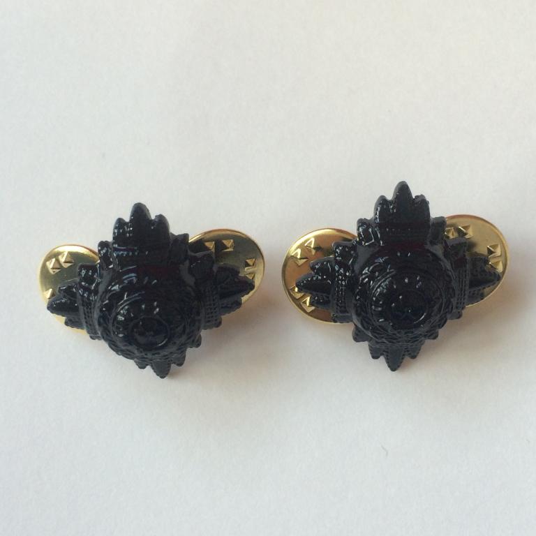Royal Irish - Pair of Pips