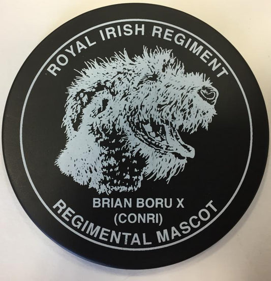 Coaster - Royal Irish Regiment - Brian Boru X - Slate