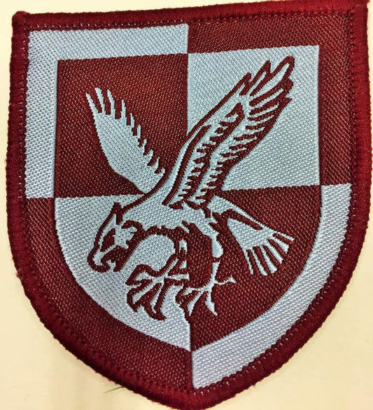 16 Air Assault Brigade Flash - No longer Worn