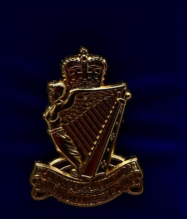 UDR 50th Anniversary Lapel Badge